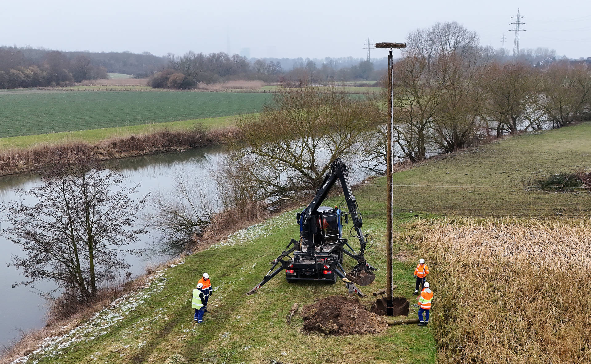 Aufbau Nistplatz in Werne.jpg
